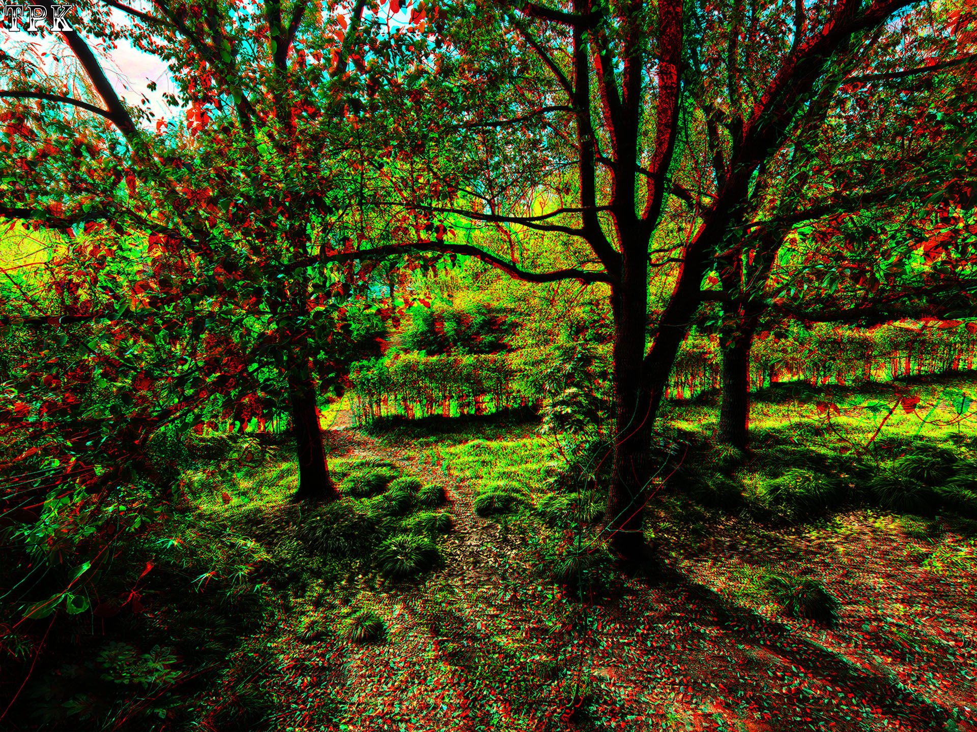 X 260325 Mate 024027(81) 43 XRC.jpg