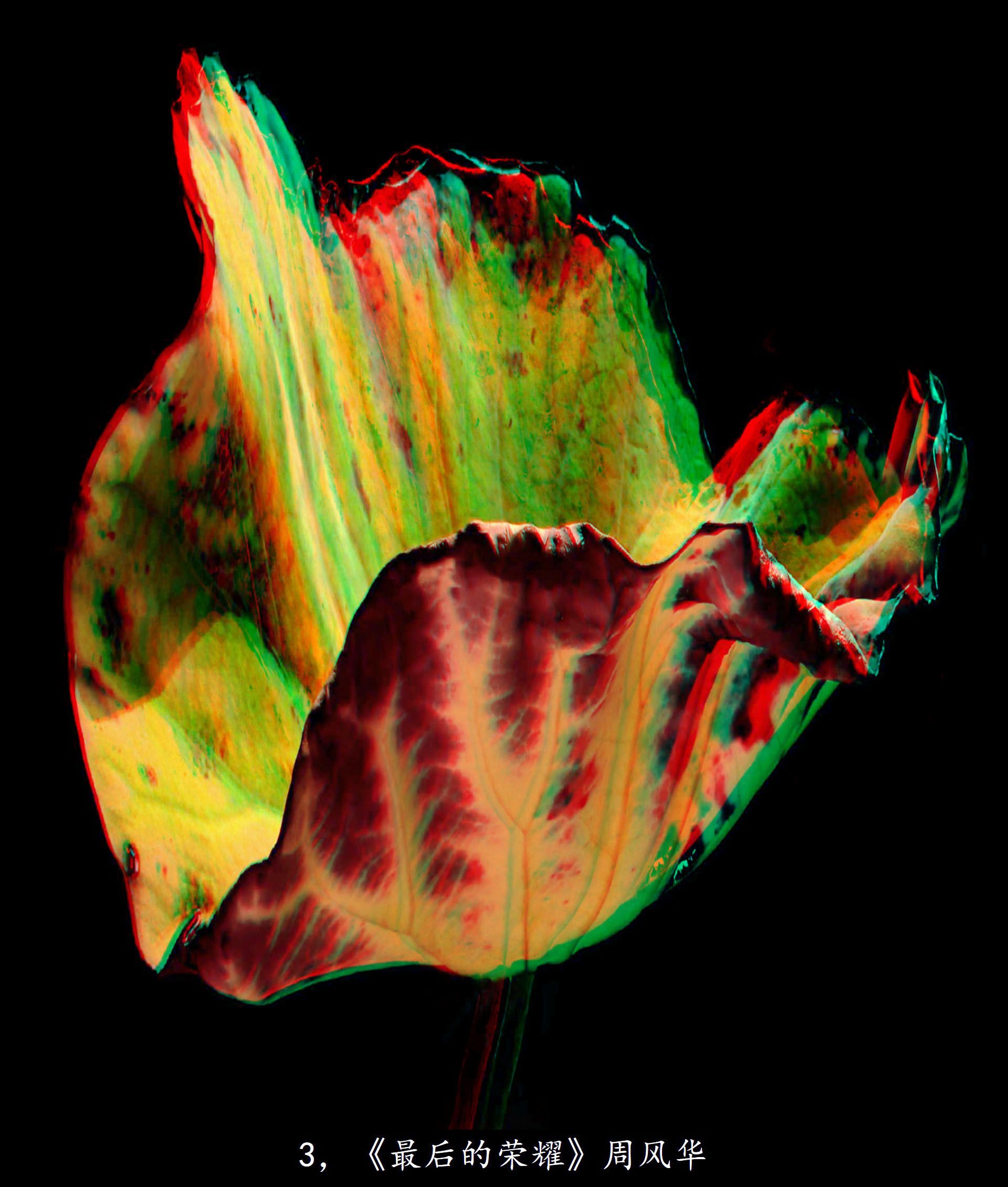 X 3，《最后的荣耀》周风华 副本.jpg