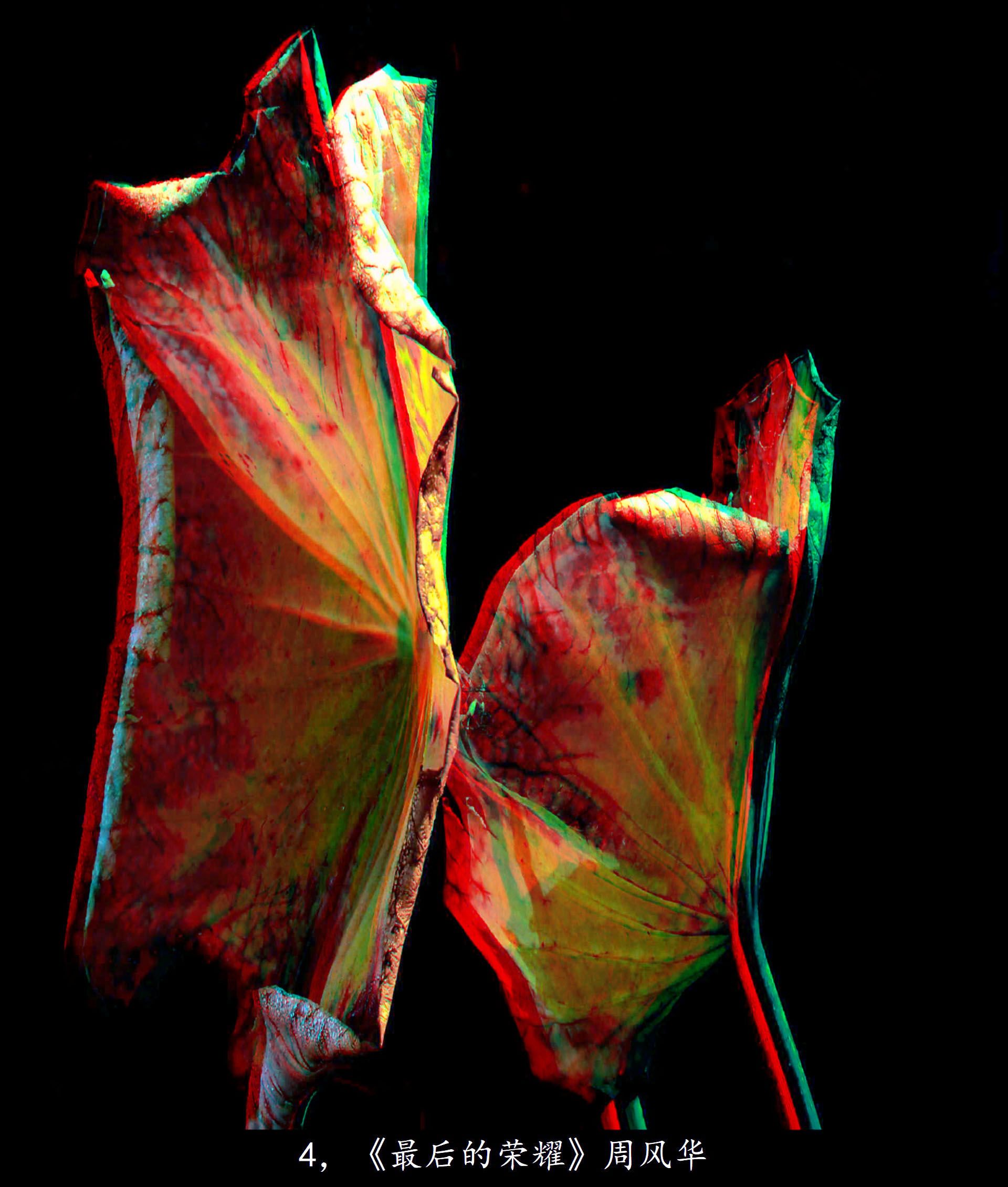 X 4，《最后的荣耀》周风华 副本.jpg