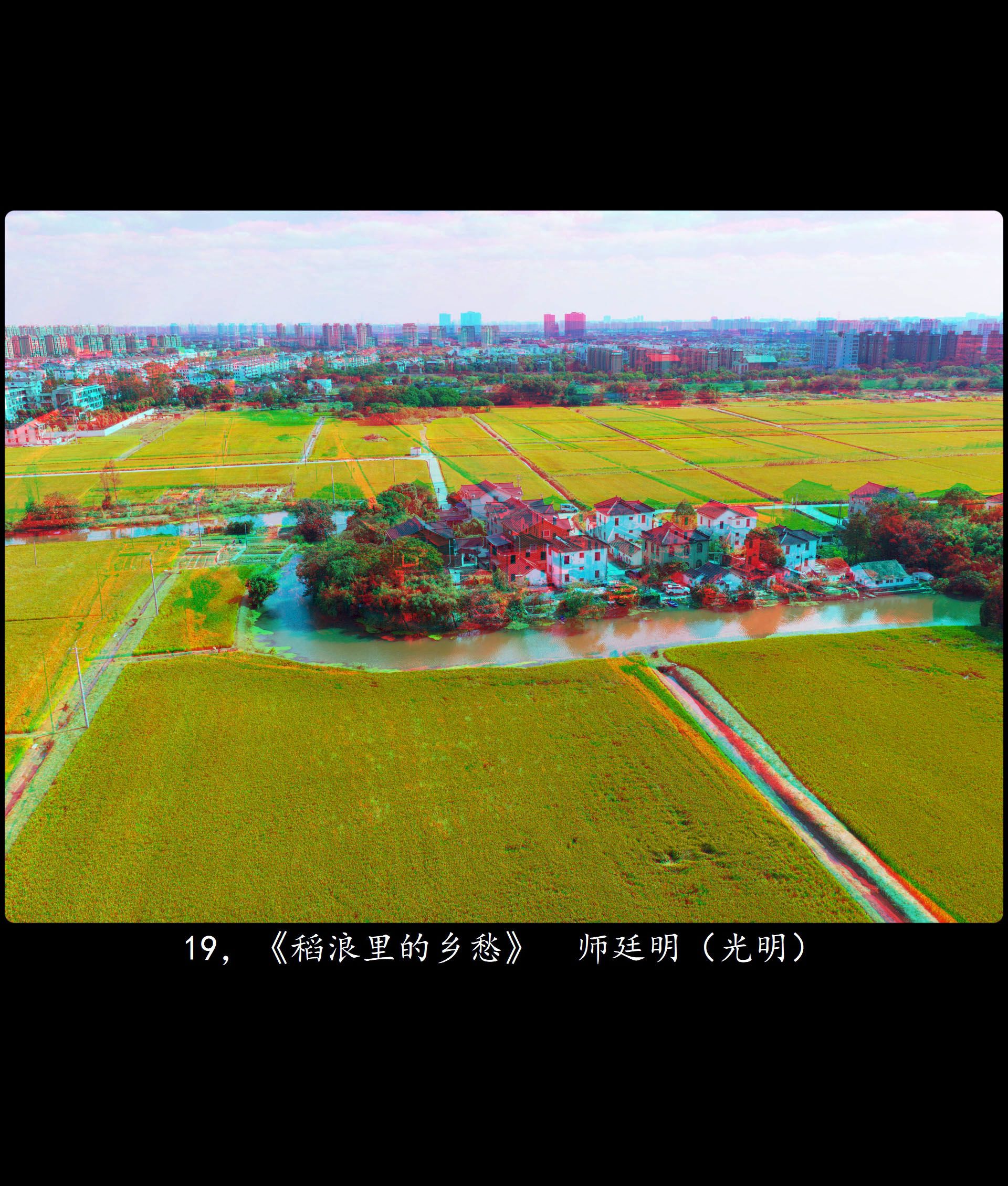X 19，《稻浪里的乡愁》 师廷明（光明） 副本.jpg
