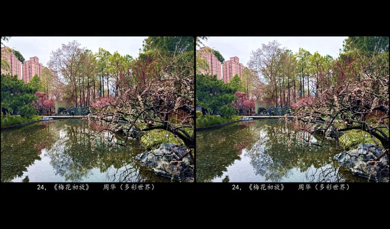 24，《梅花初放》    周华（多彩世界）.jpg