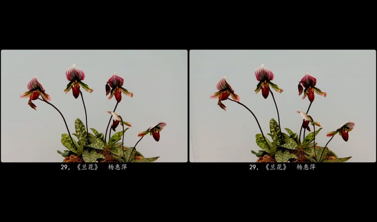 29，《兰花》  杨惠萍.jpg