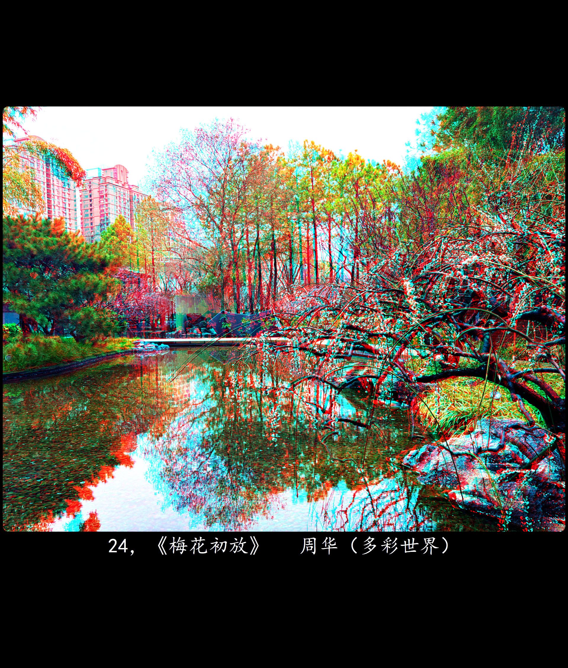 X 24，《梅花初放》    周华（多彩世界） 副本.jpg