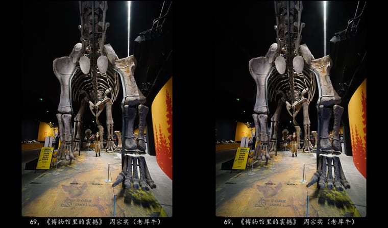 69，《博物馆里的震撼》 周宗实（老犀牛）.jpg