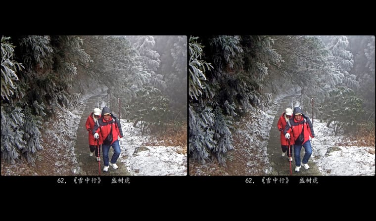 62，《雪中行》  盛树虎.jpg