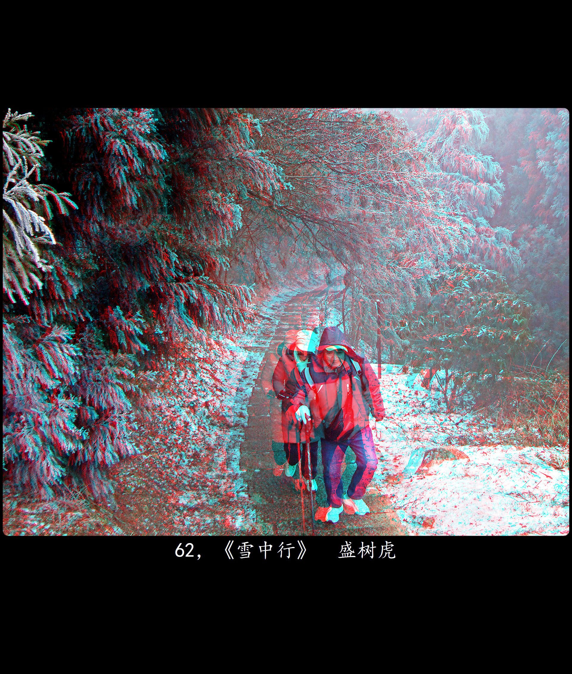 X 62，《雪中行》  盛树虎 副本.jpg