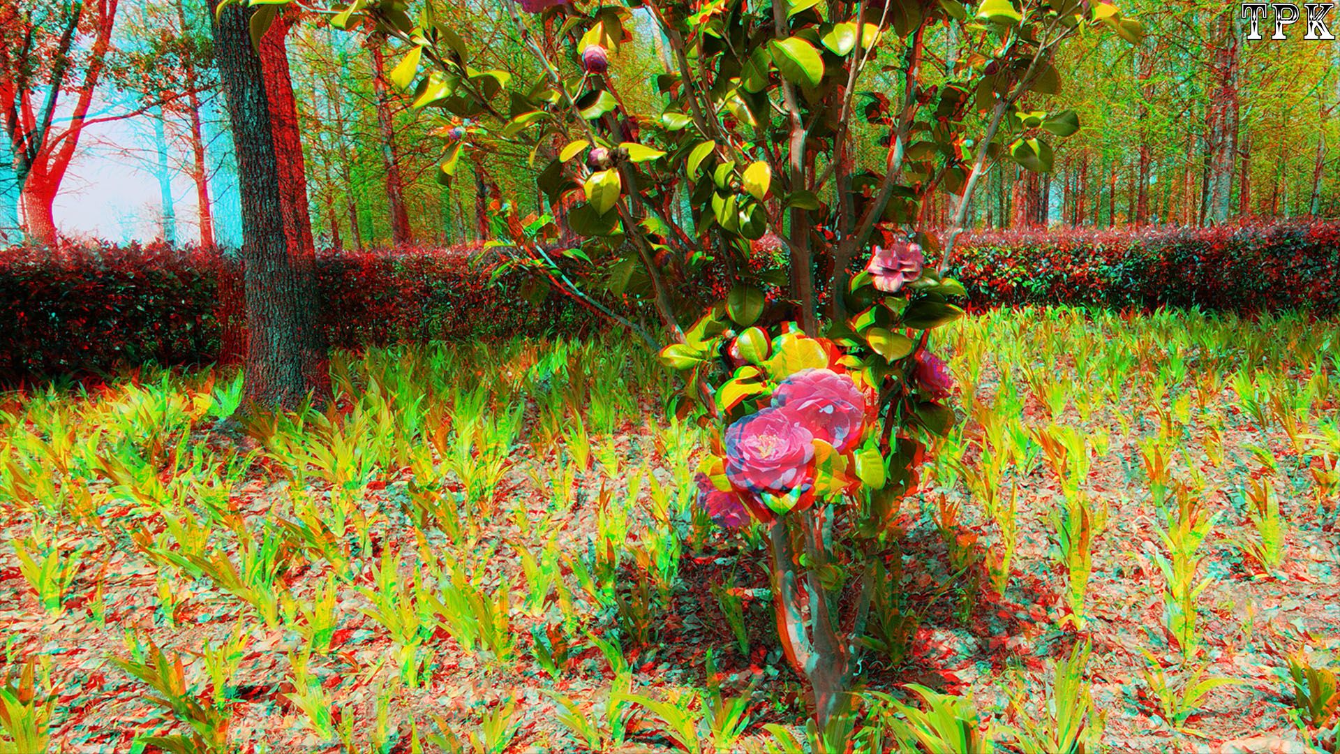 X 260405Xreal043(24) A XRC.jpg