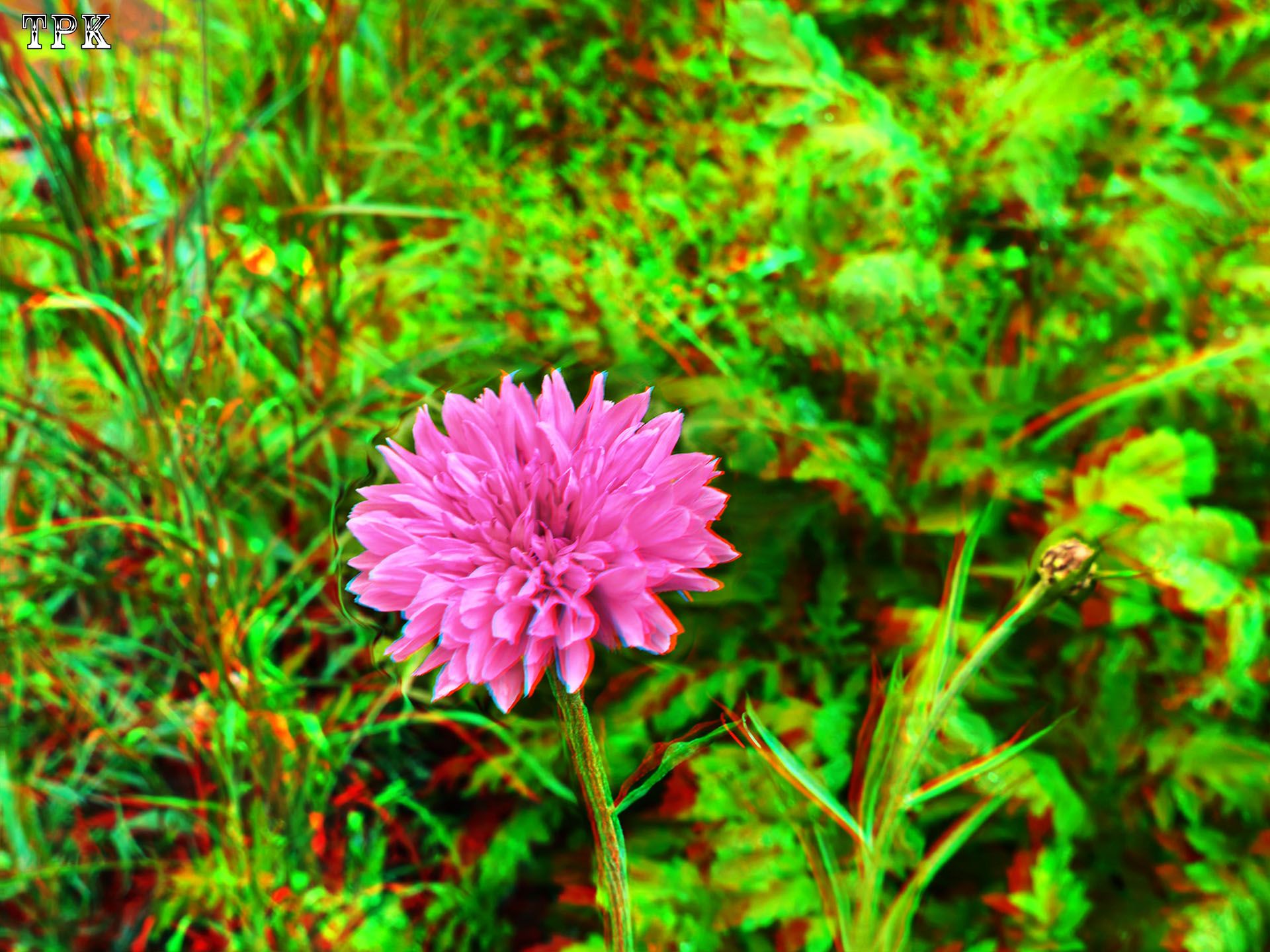 X 260413Mate 28e XRC.jpg