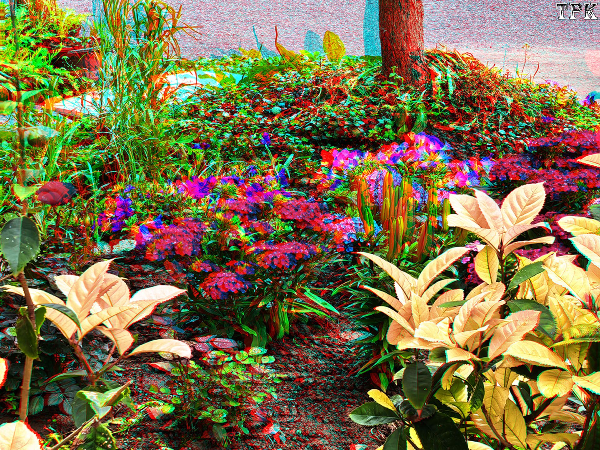 X 260413Mate 31e XRC.jpg