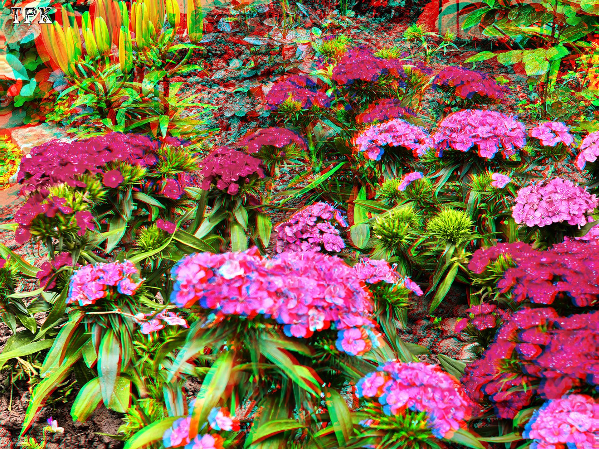 X 260413Mate 47e XRC.jpg