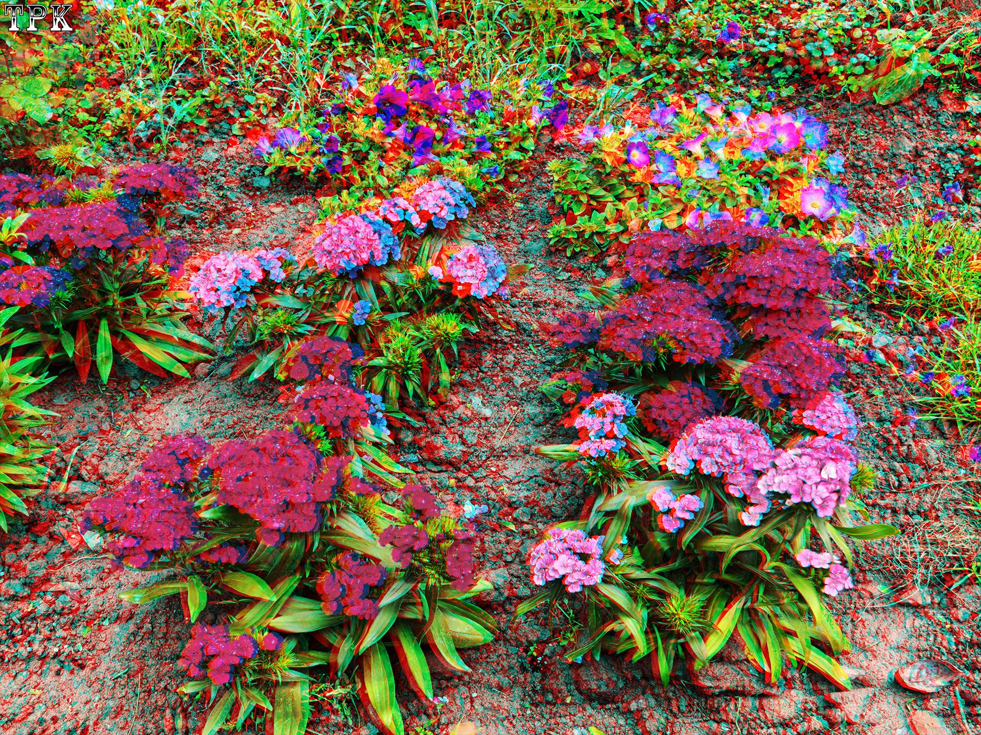 X 260413Mate 3839(27) XRC.jpg