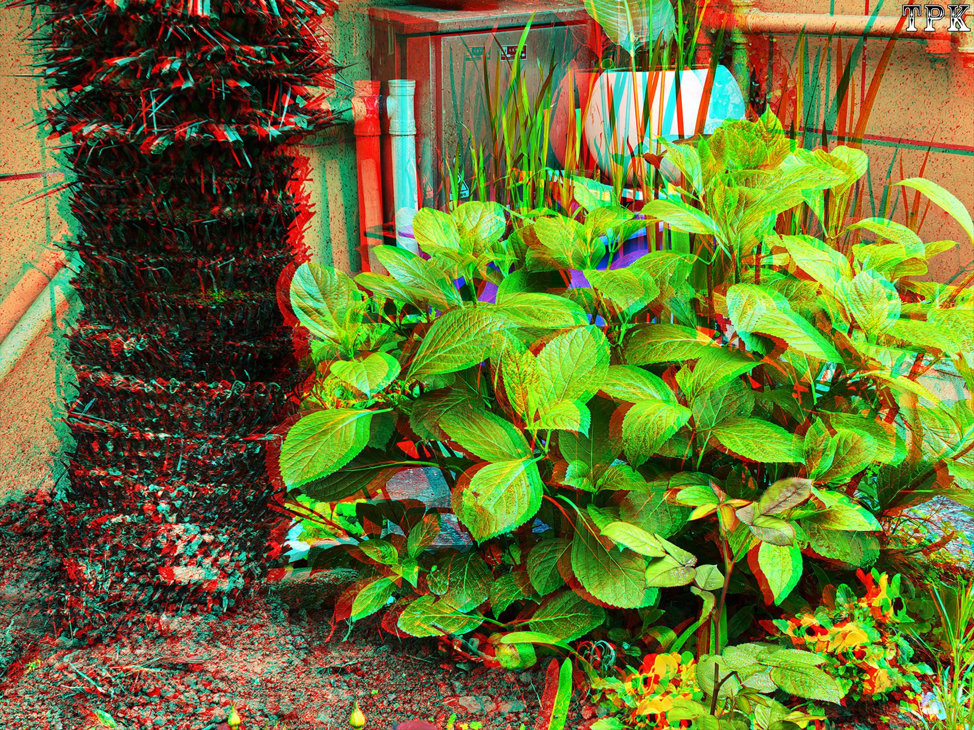 X 260413Mate 4445(28) XRC.jpg