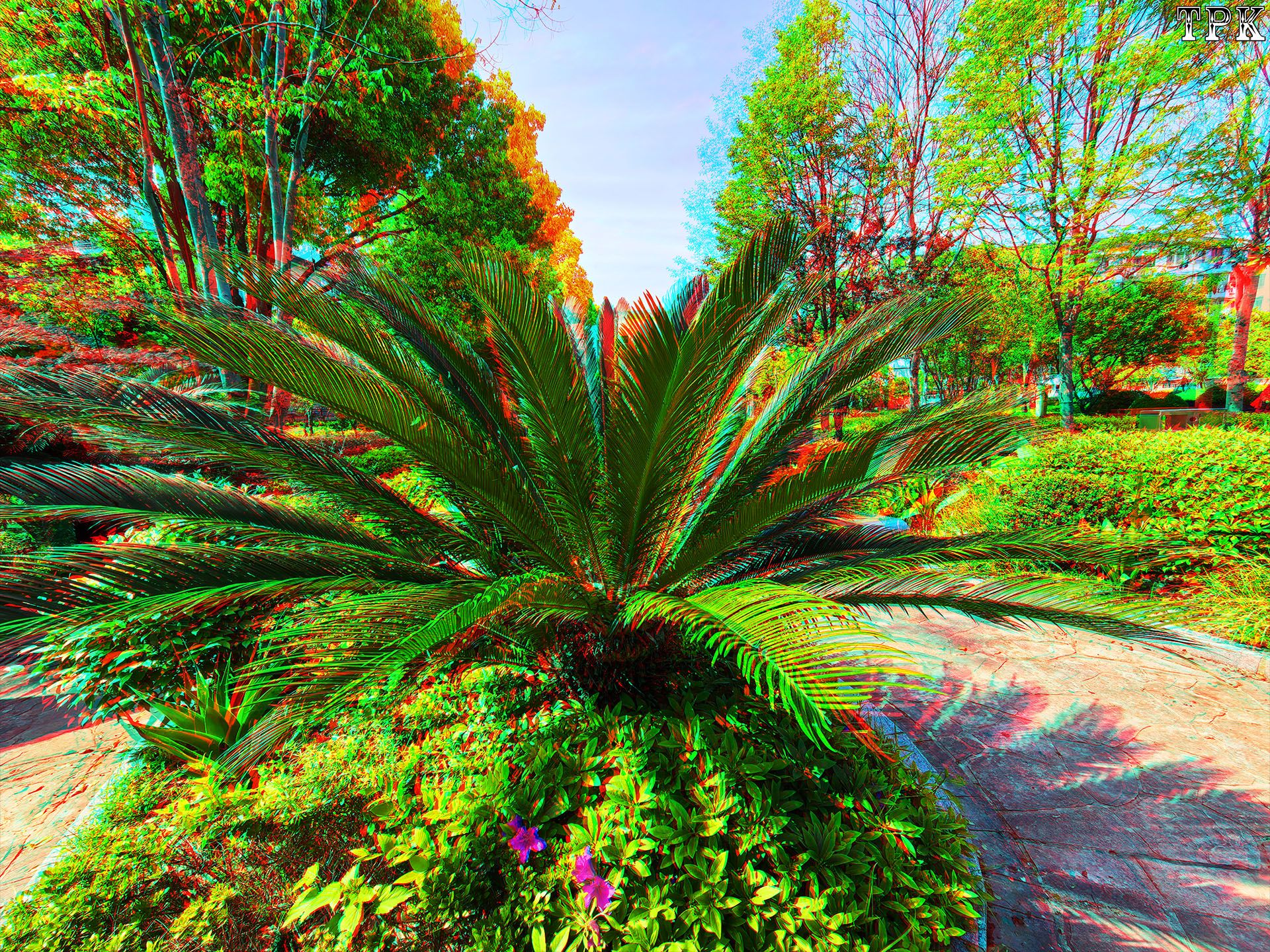 X 260415Mate 183184(38) XRC.jpg