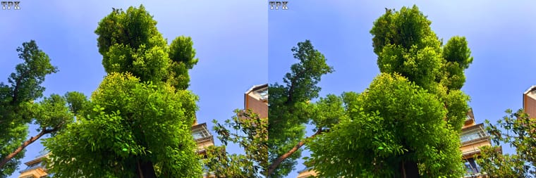260321 Mate 6265(36) 43 +LRsY.jpg