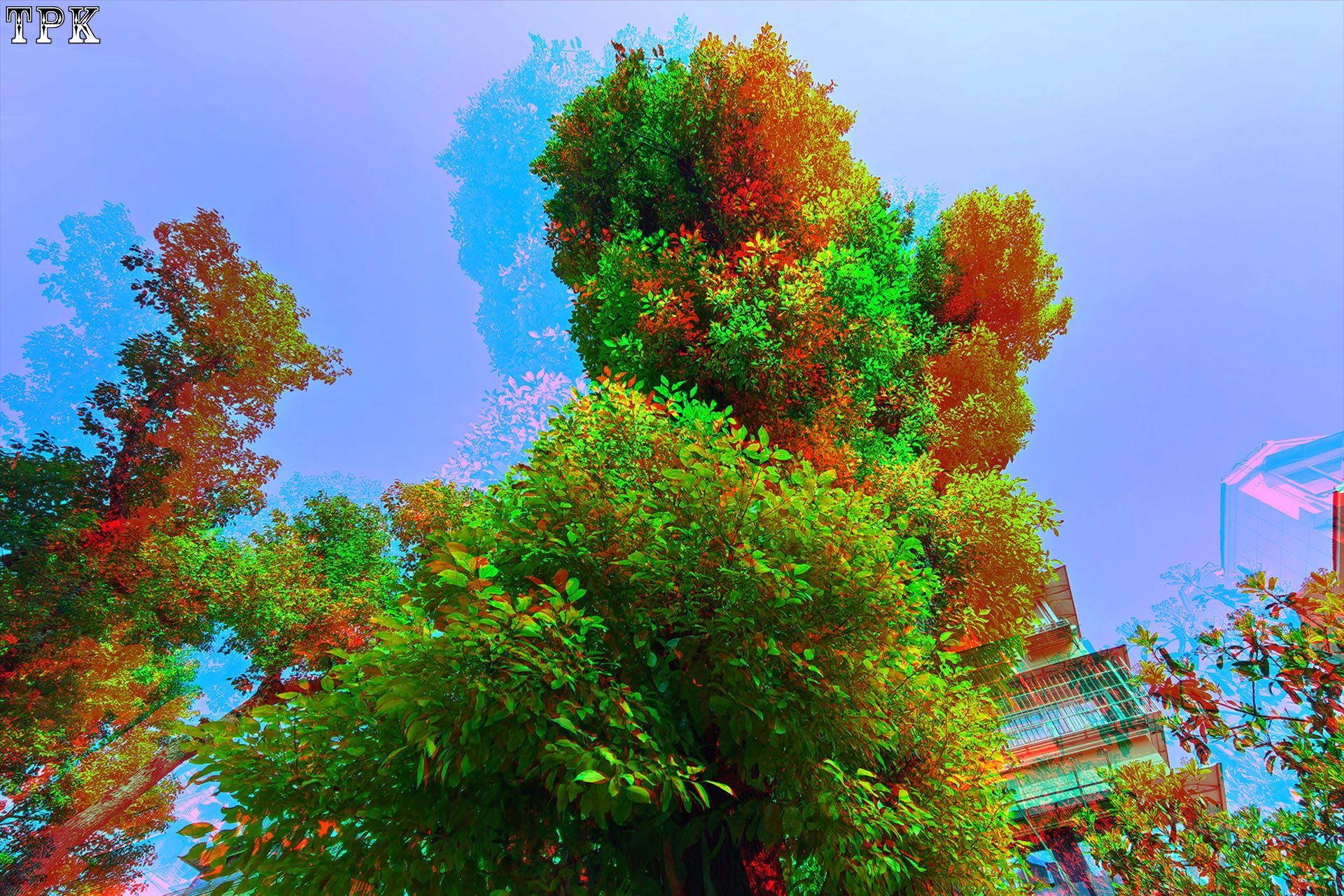 Ｘ 260321 Mate 6265(36) 43 XRC.jpg