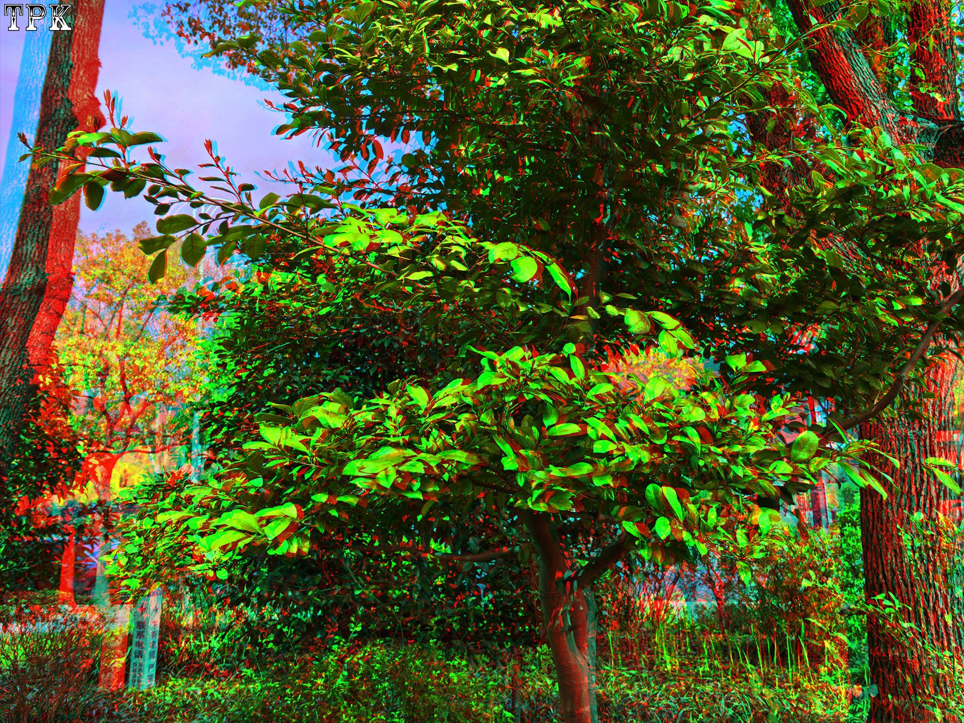 X 260325 Mate 199200(20) 43 XRCpg.jpg