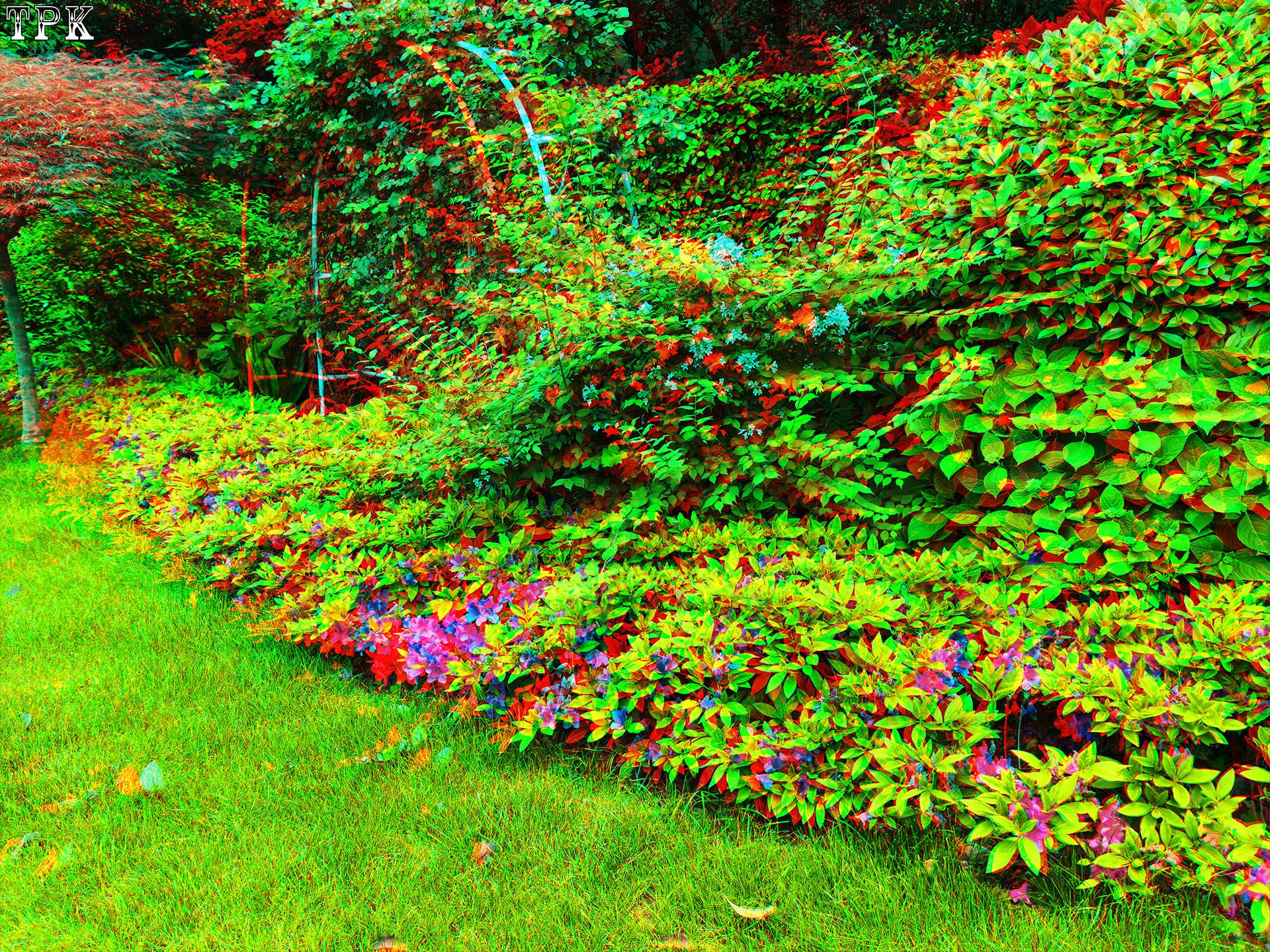 X 260504CCM 21(15) 43 XRC.jpg
