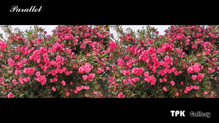 260521Mate 2628(28) 32 +LRsYpg.jpg