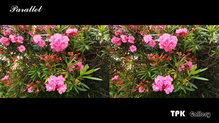 260521X 92(18) 32 +LRsY.jpg