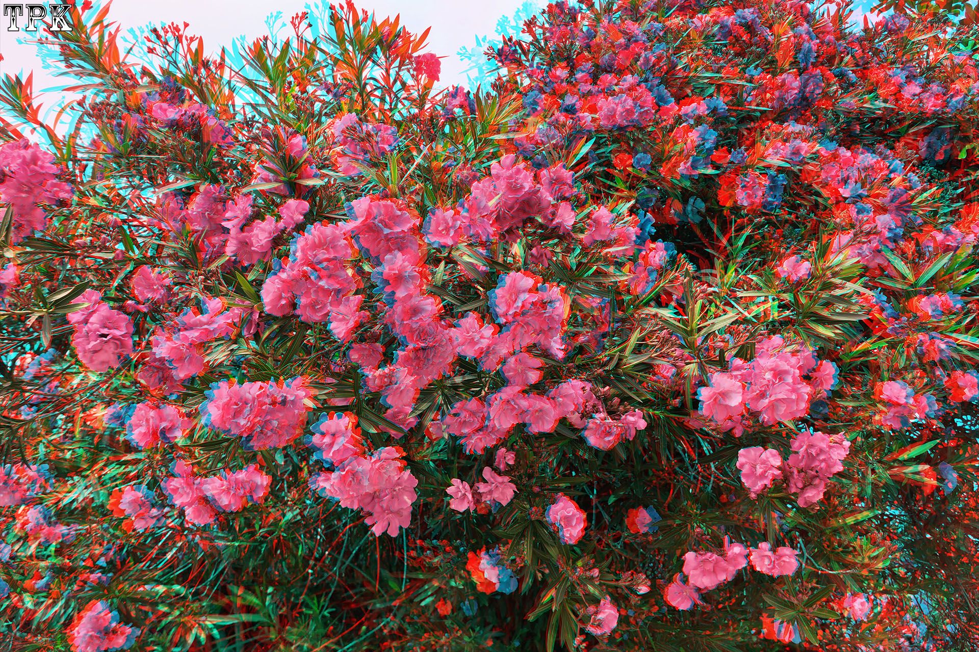 X 260521Mate 2628(28) 32 XRCg.jpg