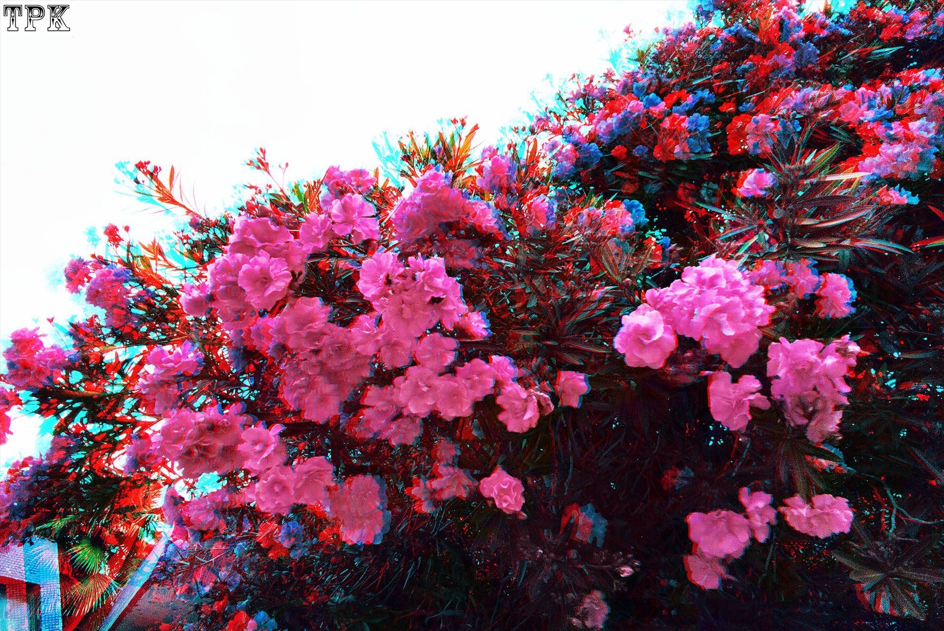 X 260521X 50(23) 32 XRC.jpg