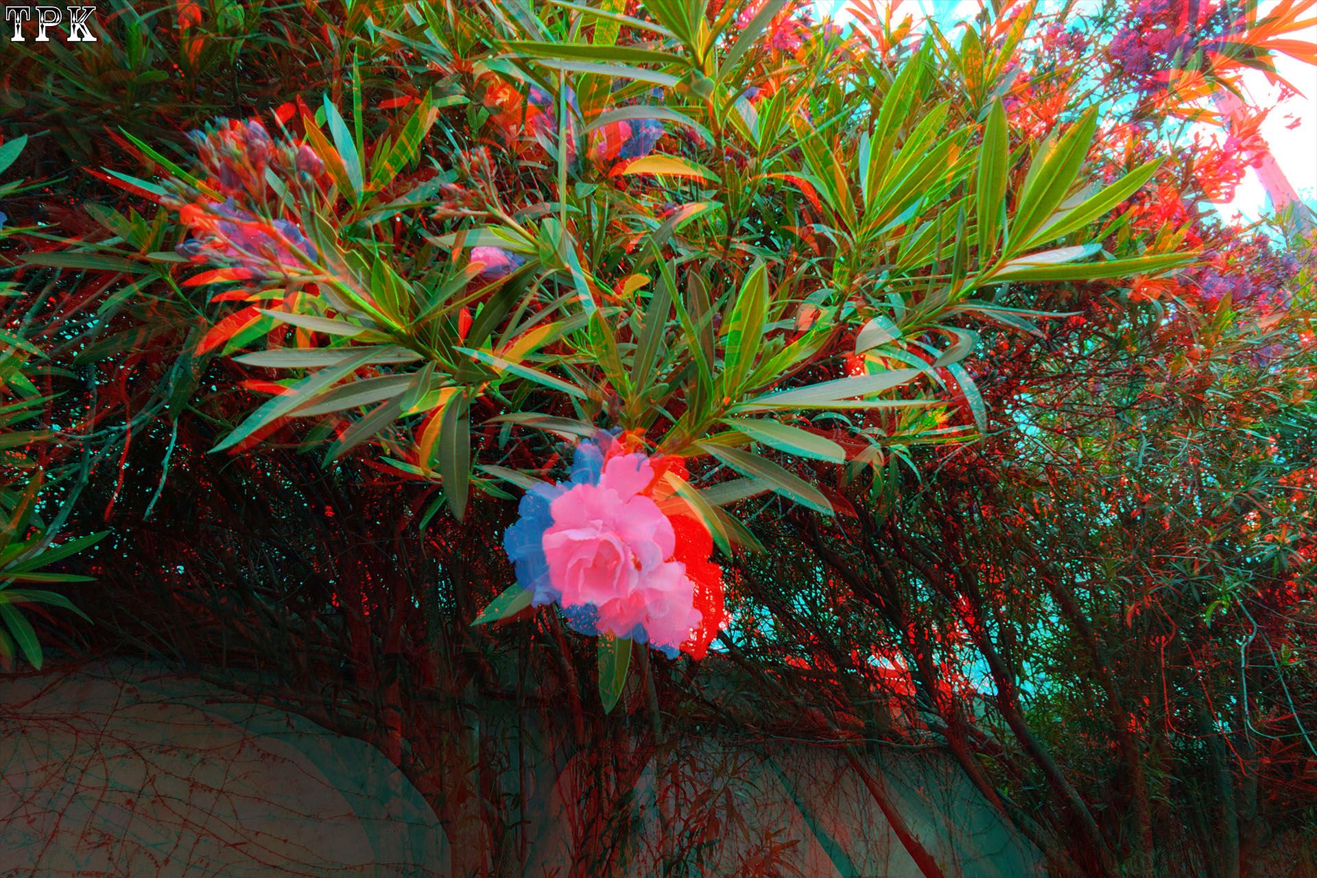 X 260521X 63(20) 32 XRC.jpg