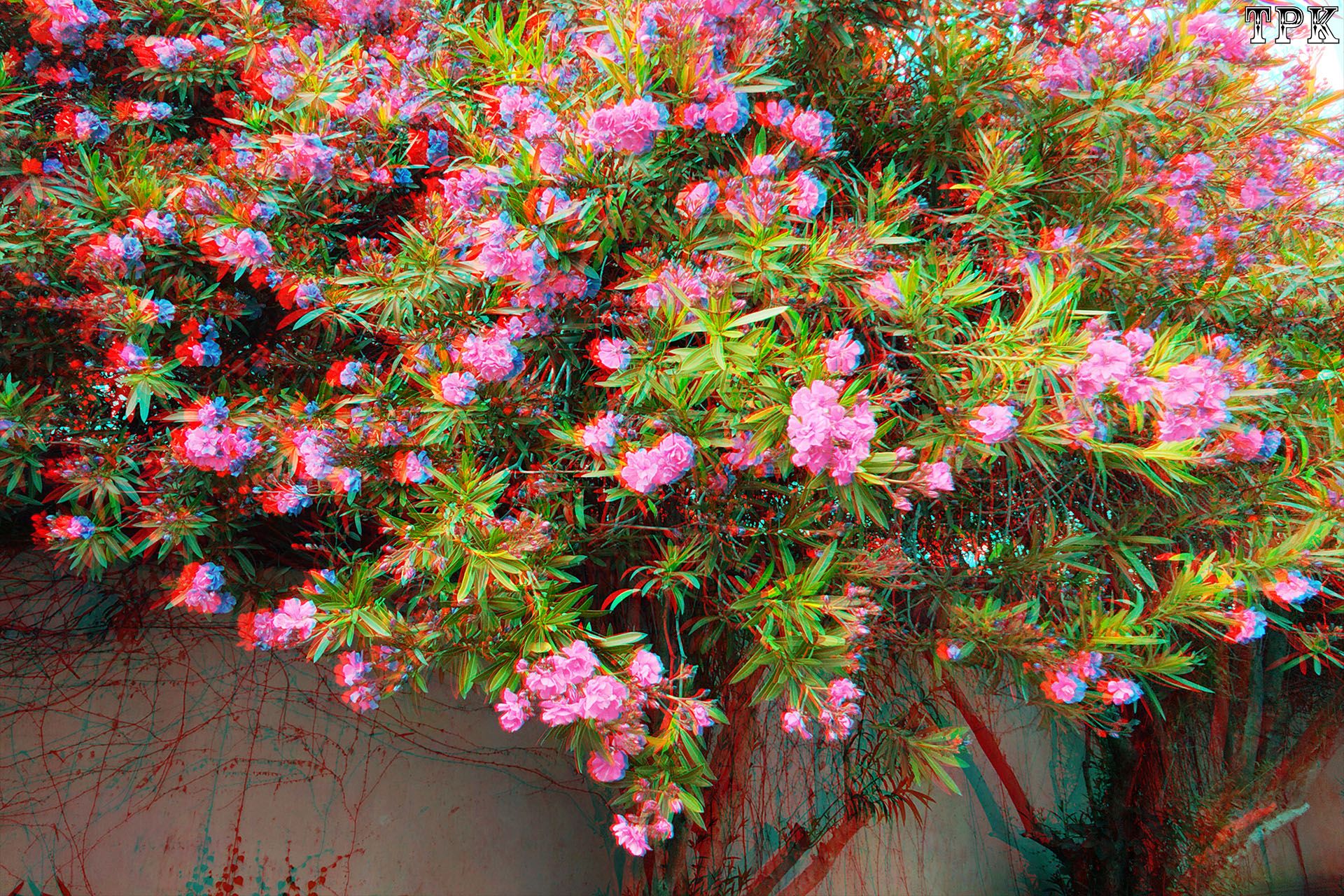 X 260521X 80(39) 32 XRC.jpg