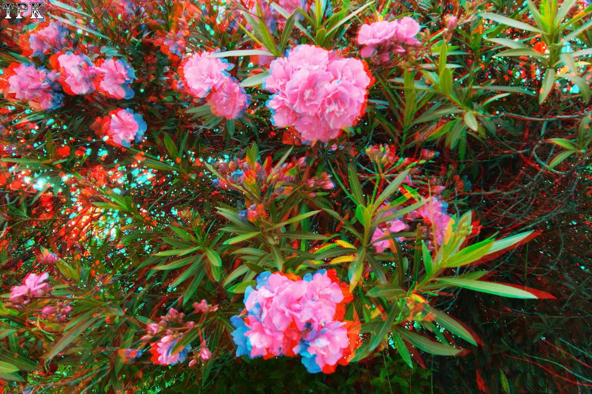 X 260521X 92(18) 32 XRC.jpg