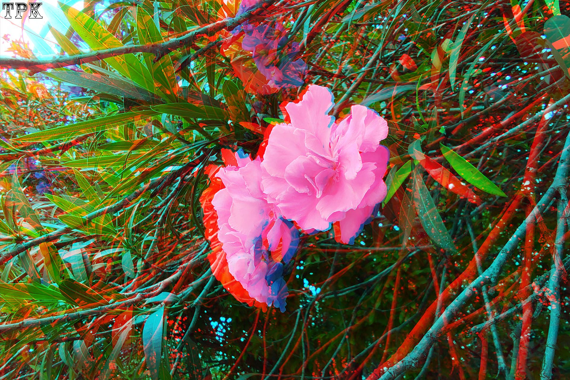 X 260521X 1113(21) 32 XRCjpg.jpg