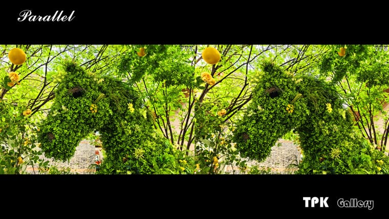 260419Mate 271273(31) 32 +LRsY.jpg