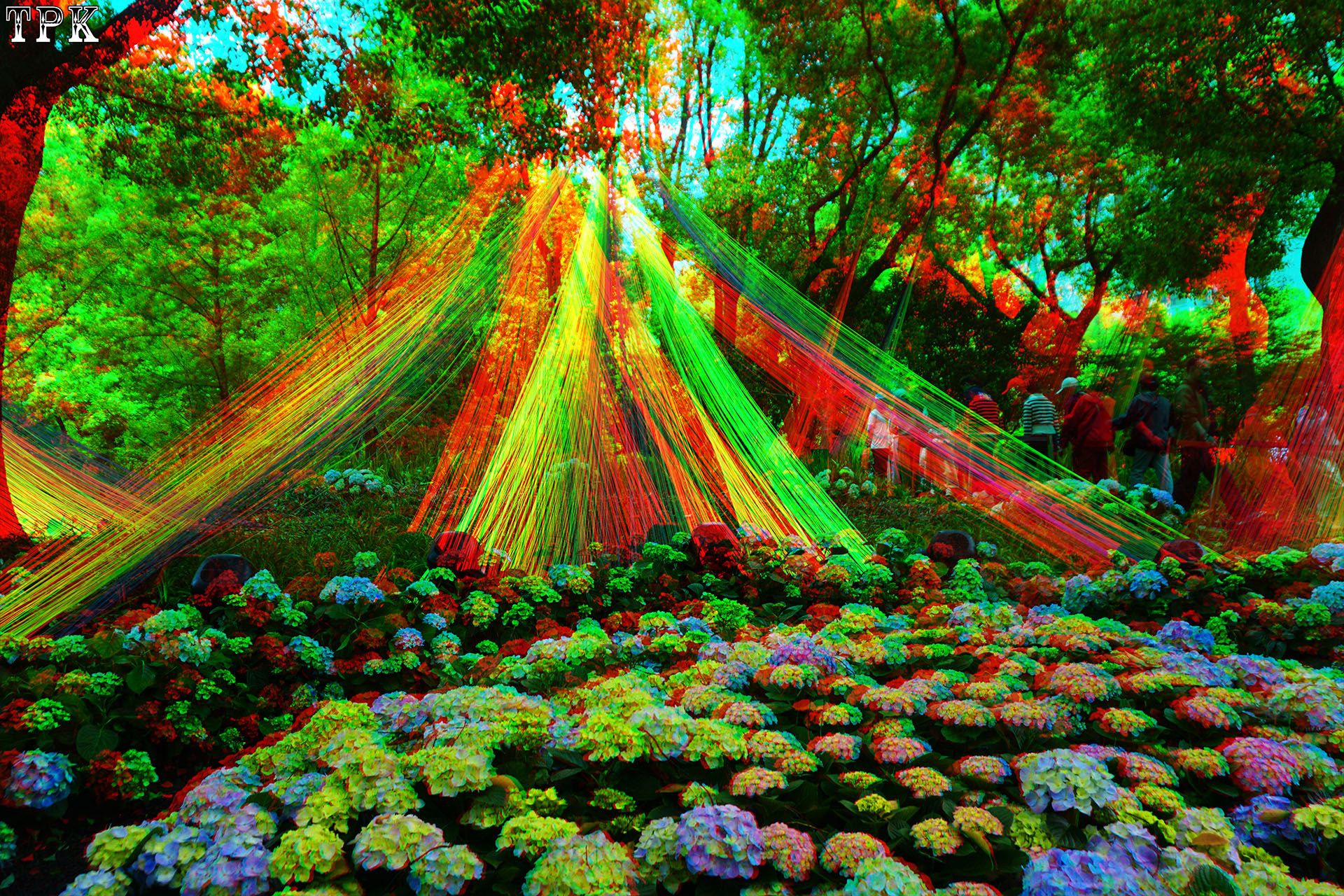 X 260419N147(17) 32 XRC.jpg