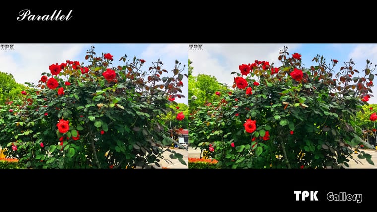 260525C-M 29(33) 32 +LRsYpg.jpg