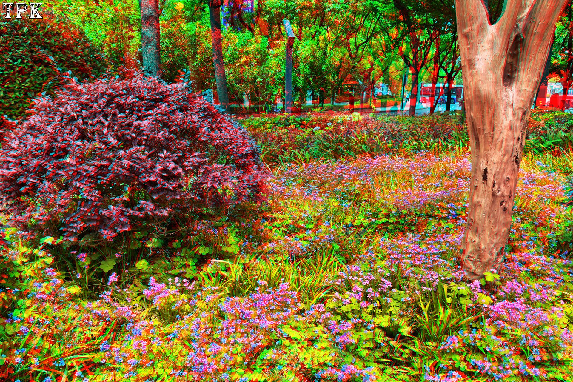 X 260525C-M 04(34) 32 XRC.jpg
