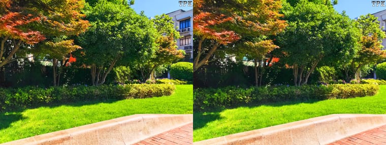 260531C-M 08(14) 43 +LRsY.jpg