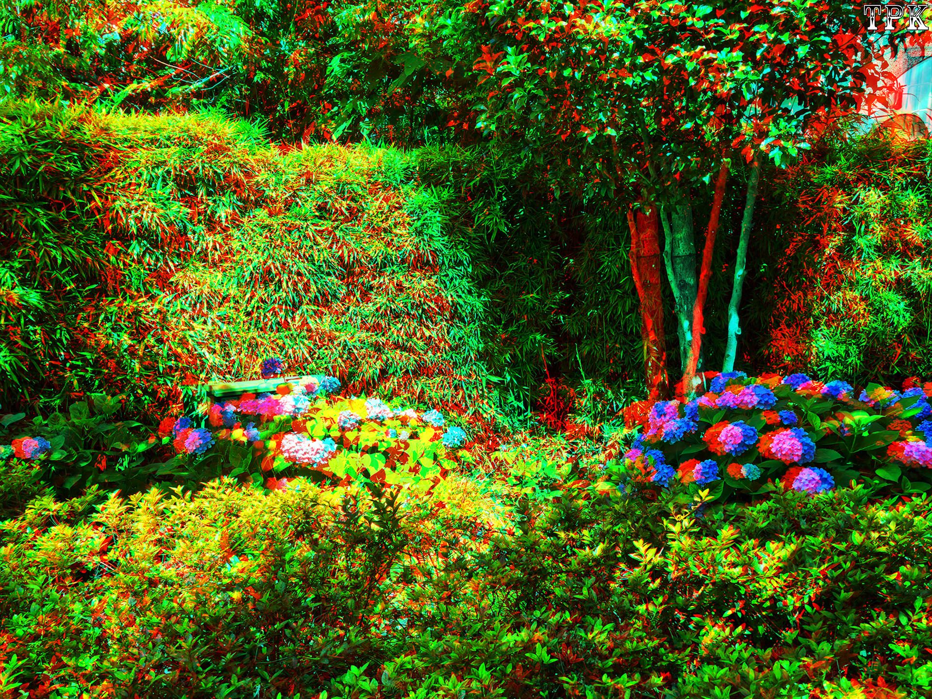 X 260531C-M 10(22) 43 XRC.jpg
