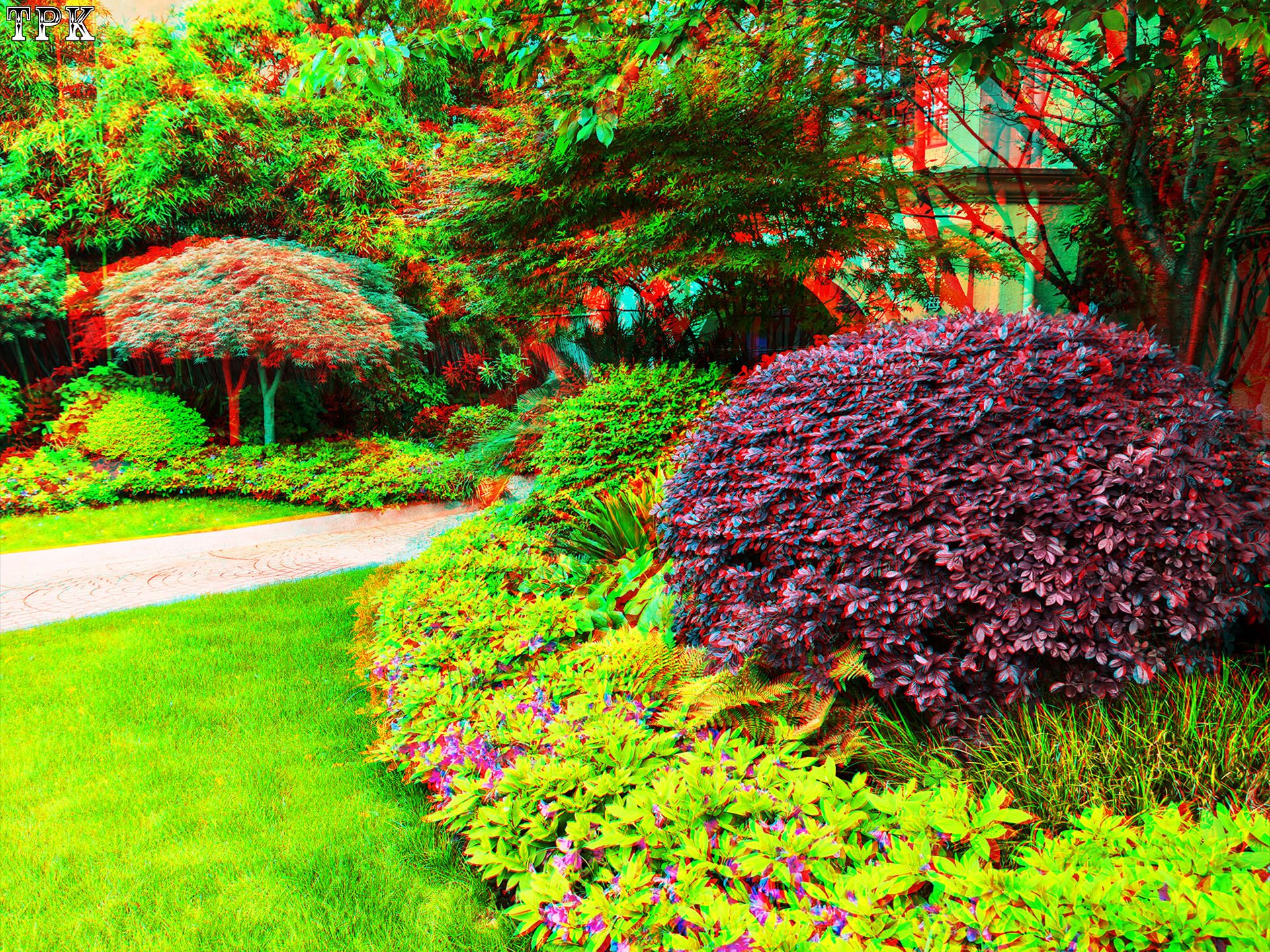 X 260504CCM 25(21) 43 XRC.jpg