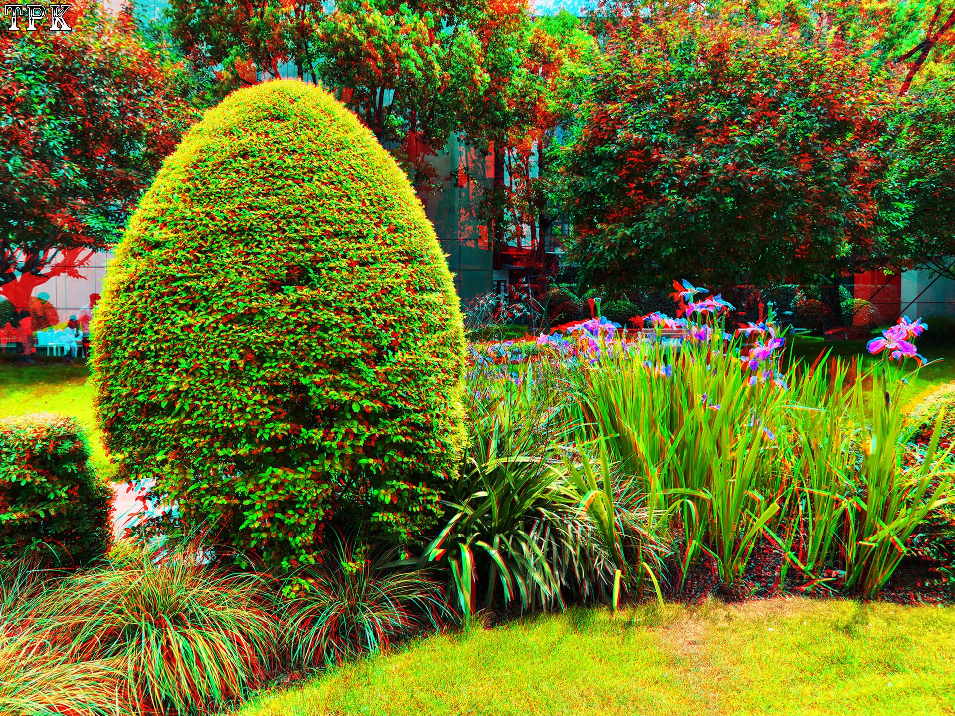 X 260504CCM 32(43) 43 XRC.jpg