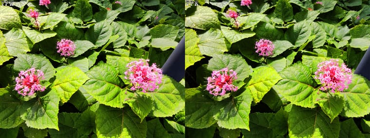 260605X 02(16) 43 LRsY.jpg