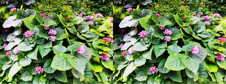 260605X 05(21) 43 +LRsY.jpg