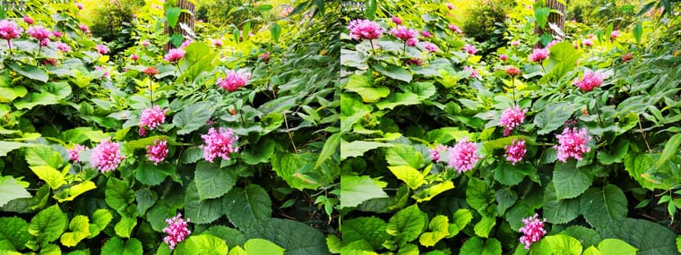 260605X 10(18) 43 +LRsY.jpg
