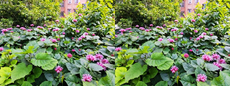 260605X 13(16) 43 +LRsY.jpg