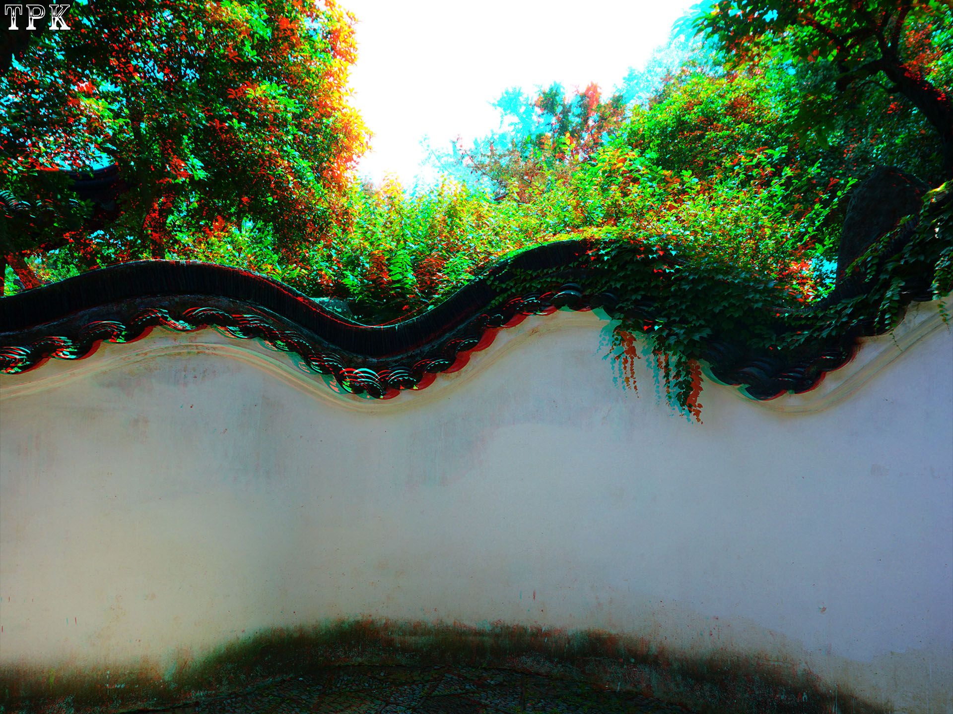 X 260609N 010 怡园(25) 43 XRC.jpg