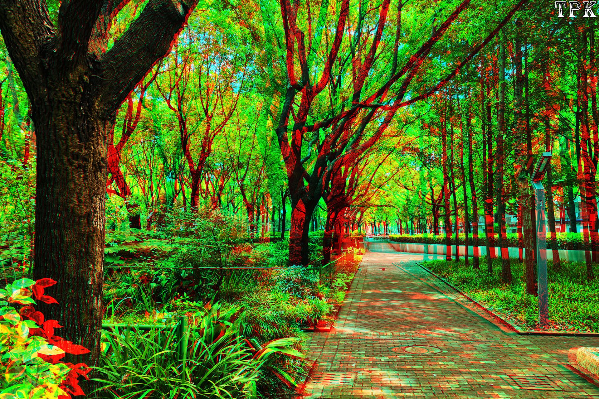 X 260525C-M 19(12) 32 XRC.jpg