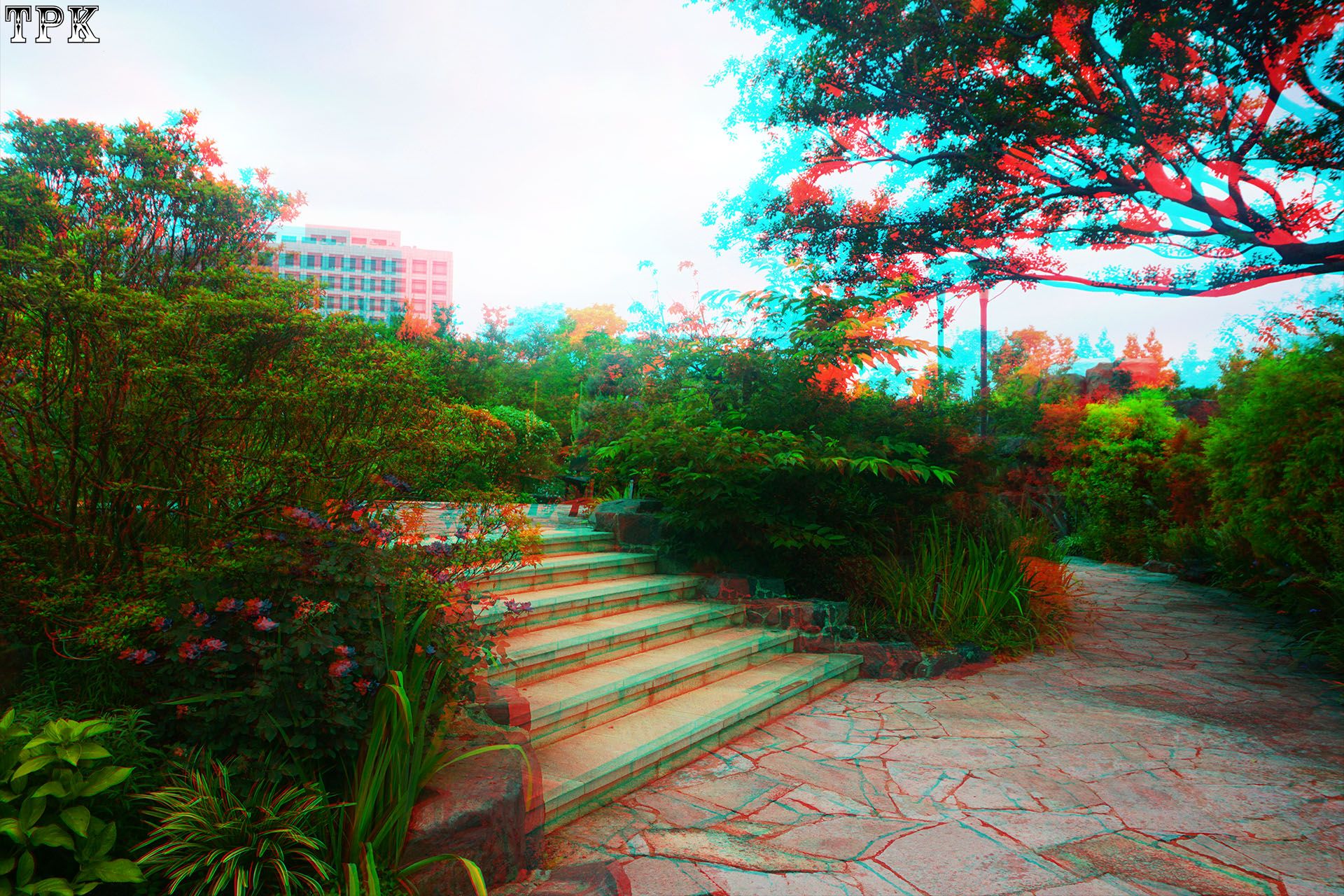 X 260617N 010(24) 32 XRC.jpg