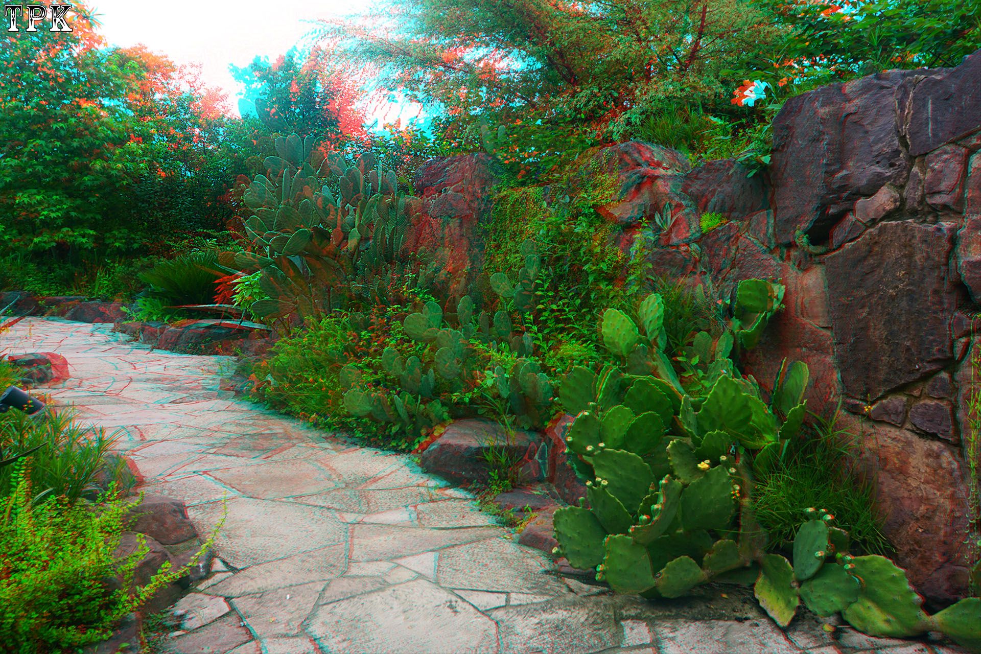 X 260617N 015(29) 32 XRC.jpg