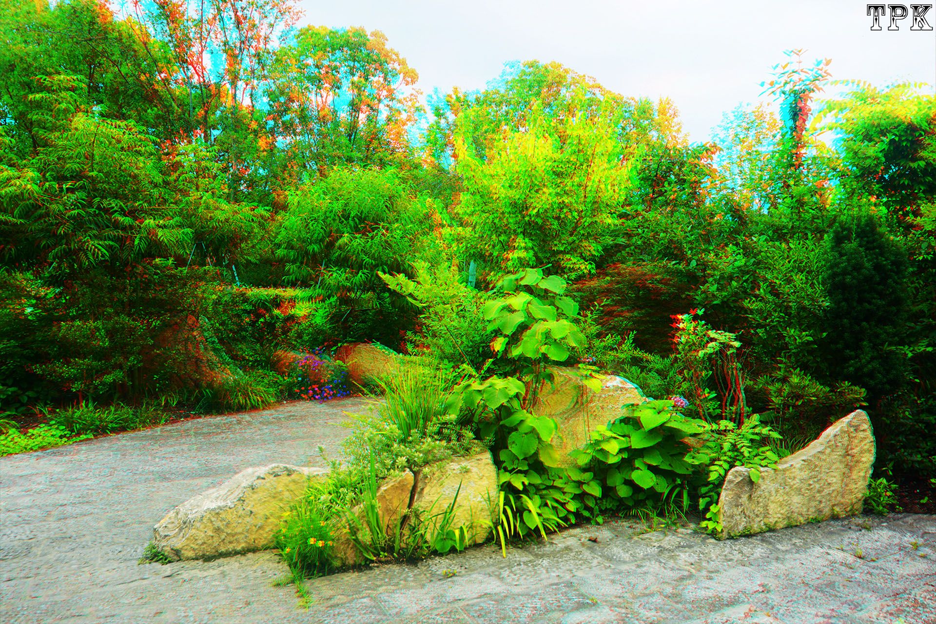 X 260617N 019(37) 32 XRC.jpg