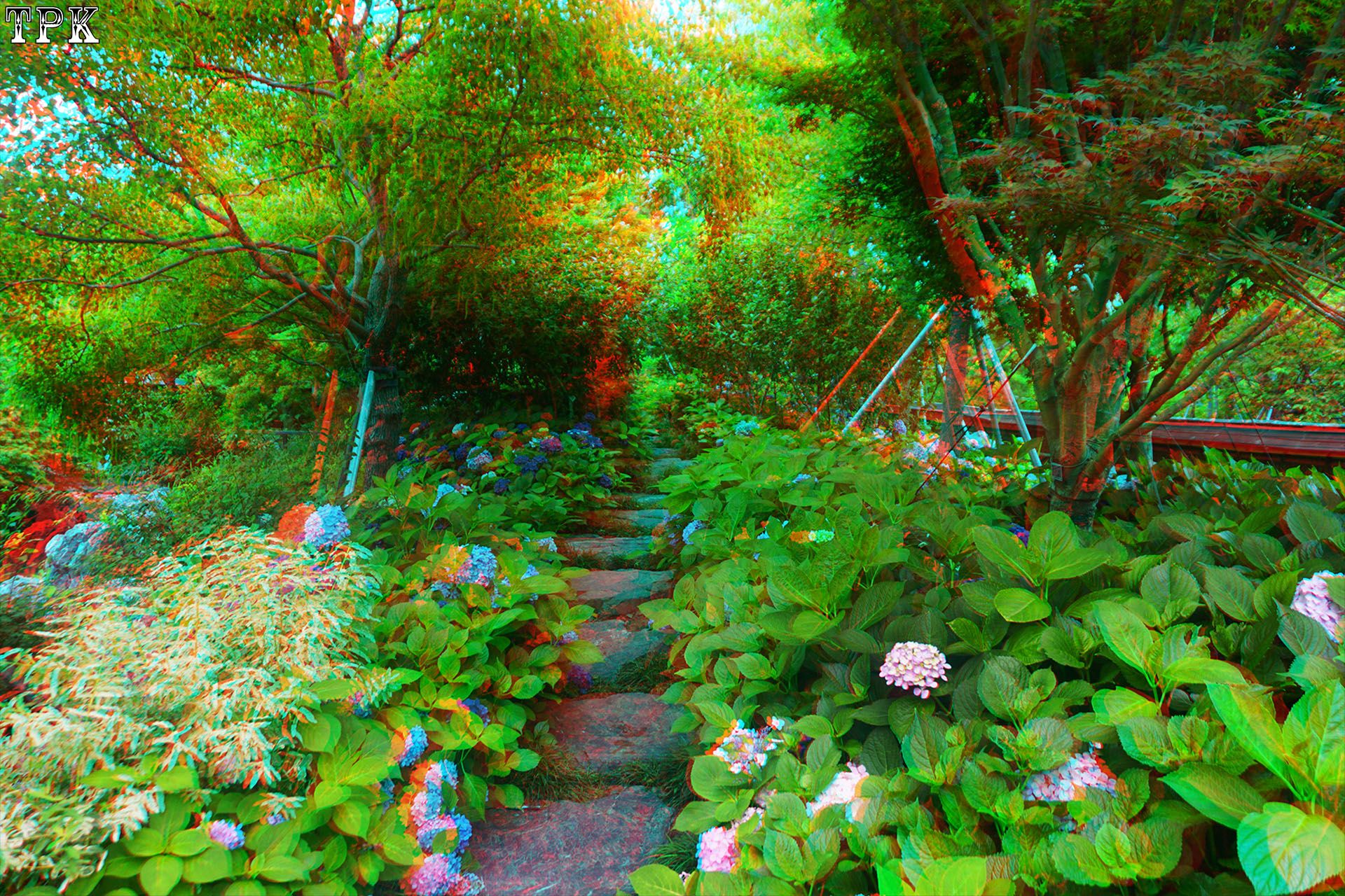 X 260617N 066(18) 32 XRC.jpg