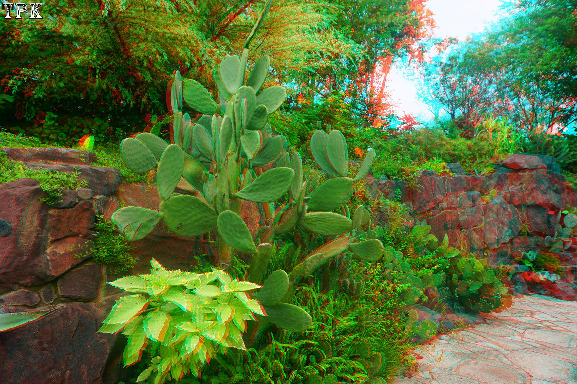 X 260617N 016(23) 32 XRC.jpg