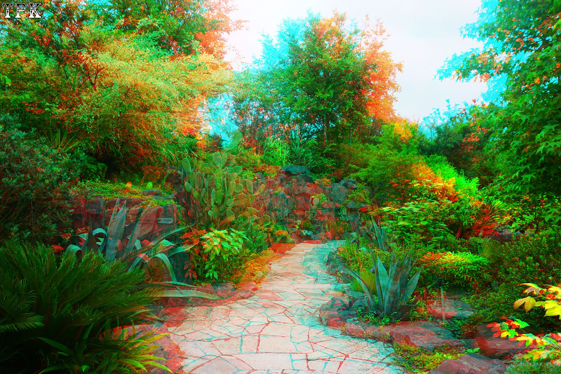 X 260617N 017(28) 32 XRC.jpg