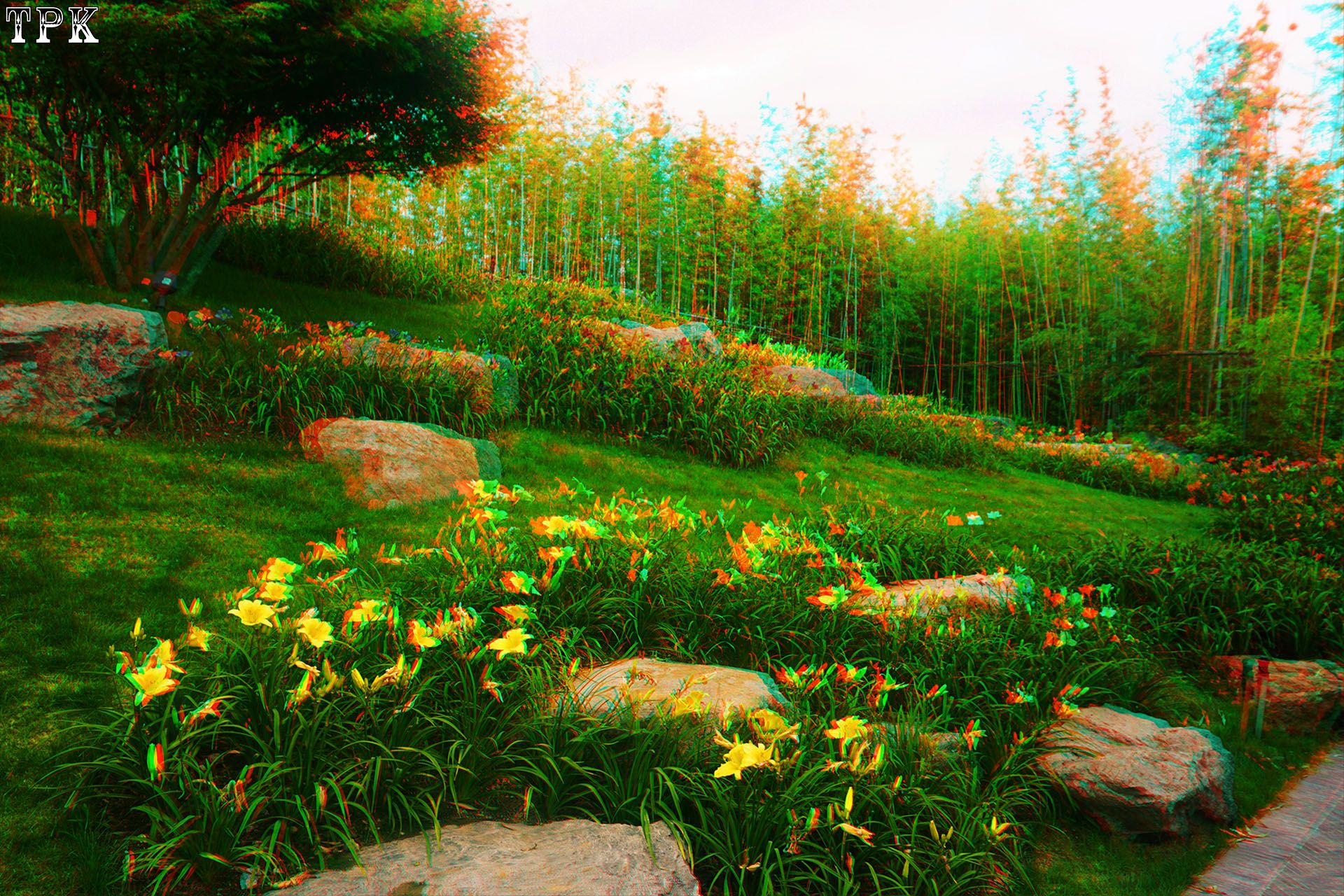 X 260617N 081(30) 32 XRC.jpg